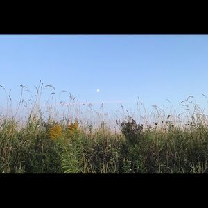 Meet your Posher, Marie